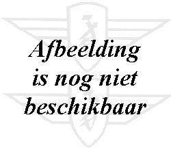 afbeelding.43